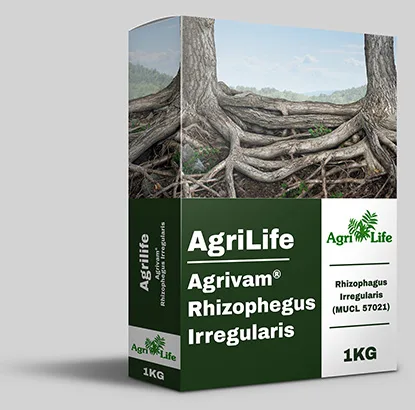 MycroRhiza® (Mycorrhiza), AgriLife Agrivam® Rhizophagus irregularis (MUCL 57021), 1 KG carton pack shot