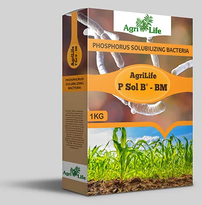AgriLife P Sol B® - BM, Phosphorus Solubilizing Bacteria (Bacillus megaterium), 1 KG carton pack shot