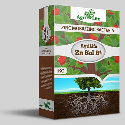 AgriLife Zn Sol B®, Zinc Mobilizing Bacteria (Starkeya novella), 1 KG carton pack shot