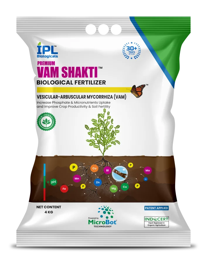 Premium VAM Shakti -Vesicular Arbuscular Mycorrhiza (VAM), 4 Kg granular pack (hero SKU; site lists 1Kg and 4Kg, MRP INR 250, 100 propagules per gm)