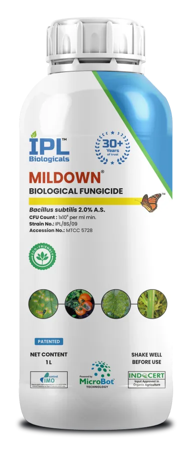 Mildown - Bacillus Subtilis 2.0% A.S., 1 Litre bio-fungicide bottle