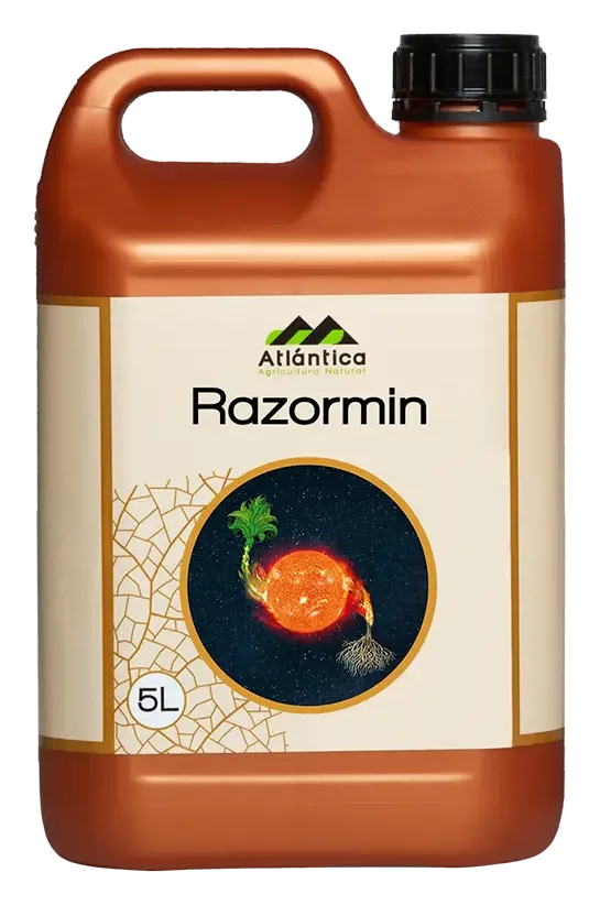 Razormin - 5 L pack (hero SKU pack shot, main product-page gallery image)