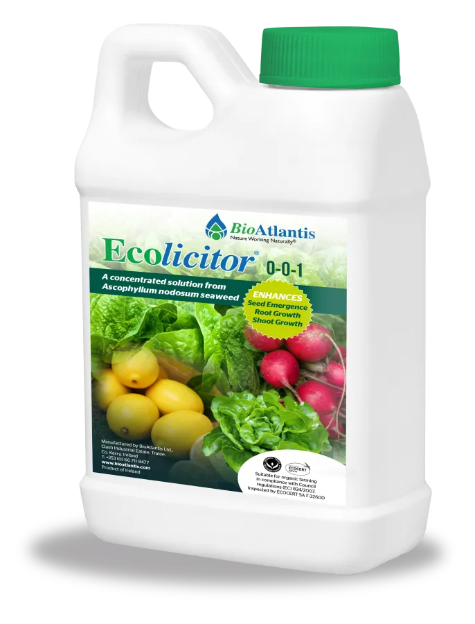 Ecolicitor® 0-0-1 - a concentrated solution from Ascophyllum nodosum seaweed, jerrycan