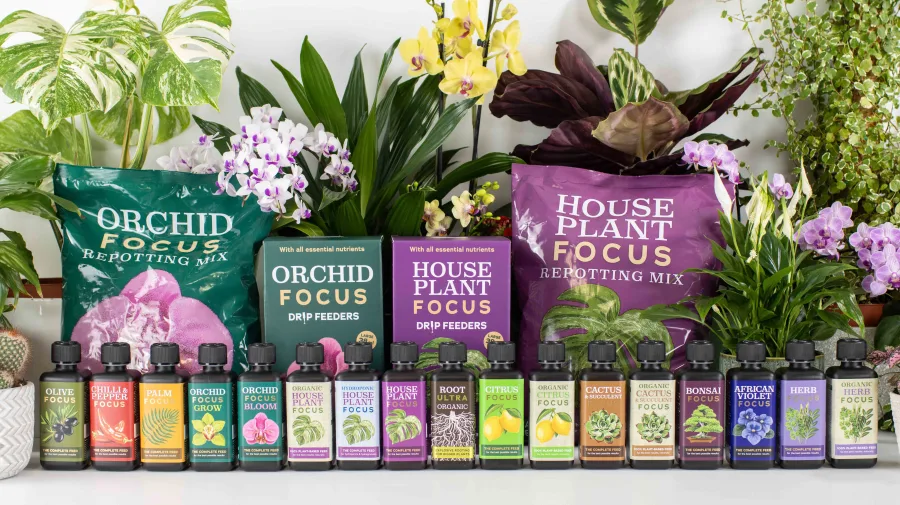 Full range of Focus products - Orchid Focus Grow, Orchid Focus Bloom, Houseplant Focus, Cactus & Succulent Focus, Bonsai Focus, Citrus Focus, Herb Focus, Root Ultra, plus Orchid Focus and Houseplant Focus Repotting Mixes and Drip Feeders