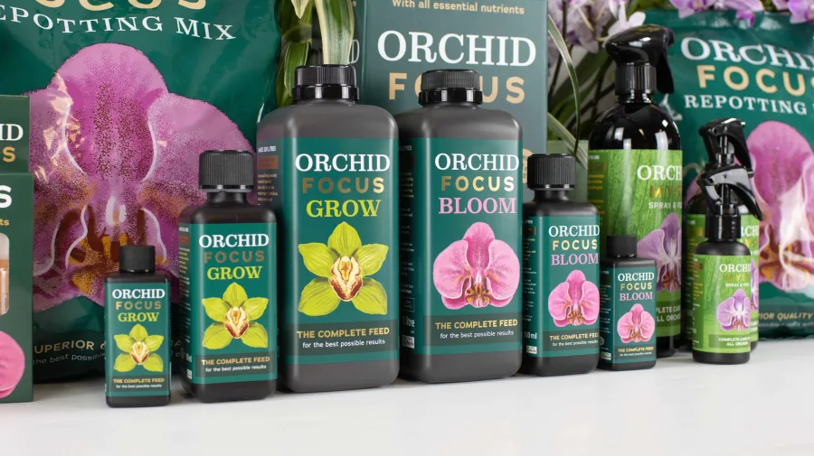 Orchid Focus Grow & Bloom - Orchid Focus Grow in 1 litre, 300 ml and 100 ml alongside Orchid Focus Bloom, Orchid Myst and Orchid Focus Repotting Mix; the 1 L Orchid Focus Grow bottle is the front-centre hero pack