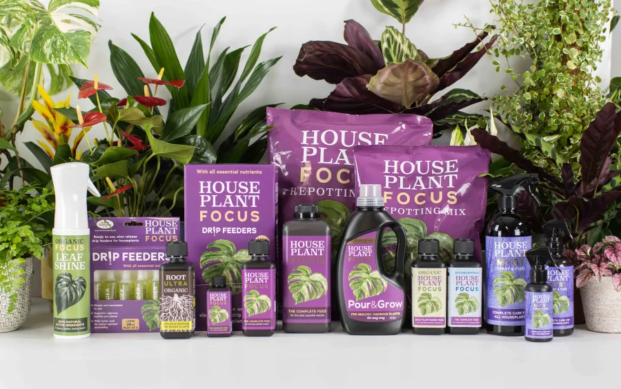 Houseplant Focus range - Houseplant Focus concentrate, Houseplant Focus Pour & Grow, Houseplant Myst, Hydroponic Houseplant Focus, Organic Houseplant Focus, Drip Feeders, Root Ultra, Organic Focus Leaf Shine and Houseplant Focus Repotting Mix