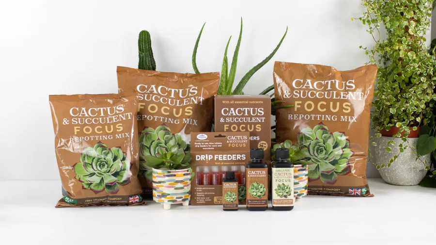 Cactus & Succulent Focus range - Cactus & Succulent Focus concentrate, Organic Cactus & Succulent Focus, Cactus Focus Drip Feeders and Cactus & Succulent Focus Repotting Mix