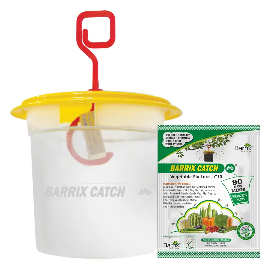 Barrix Catch Vegetable Fly Trap Set (trap plus matching lure pack)