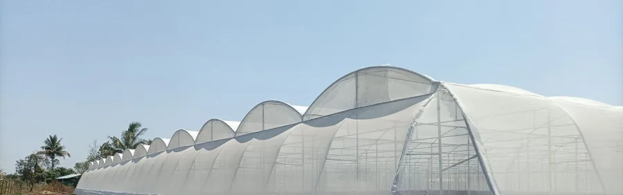 Agriculture Insect Netting, category range image (UV-stabilised HDPE insect net, 40 & 50 mesh, 105 to 135 GSM), net-house structure clad in Agriplast insect net