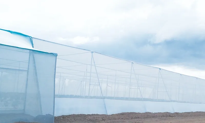 Insect Nets (Garware Agriculture solutions range image for the insect-net range)