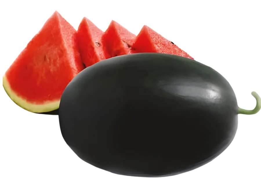 Red Honey (1224) F1 hybrid watermelon, Nongwoo Seed India variety photograph (whole fruit with cut wedges)