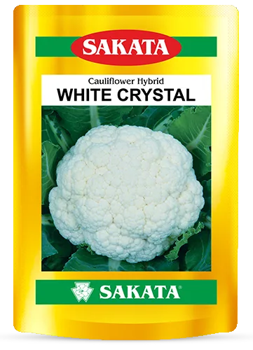 F1 White Crystal, Cauliflower Hybrid WHITE CRYSTAL, Sakata gold foil retail seed packet