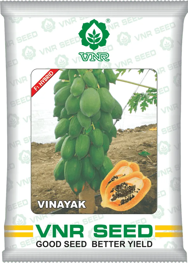 Papaya Vinayak (F1 Hybrid) - VNR Seed retail pouch, front of pack
